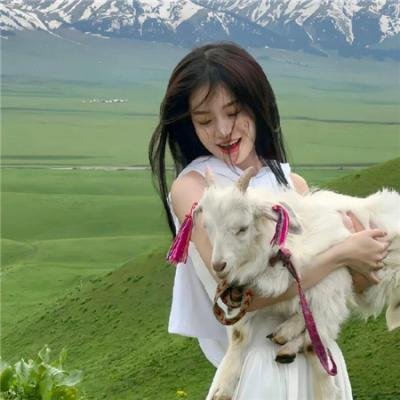 恋爱研究所